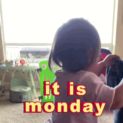 Funny Monday GIFs