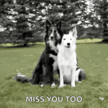 Miss You Too GIFs