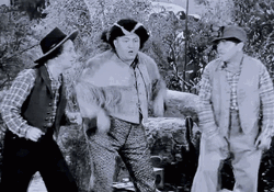 Three Stooges GIFs