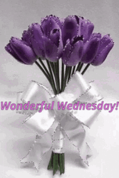 Wonderful Wednesday GIFs